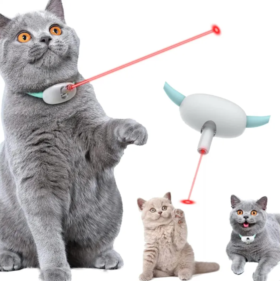 Kitty Chase™