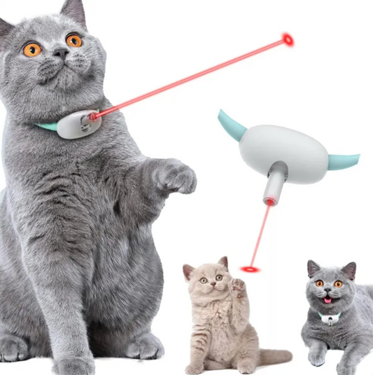 Kitty Chase™