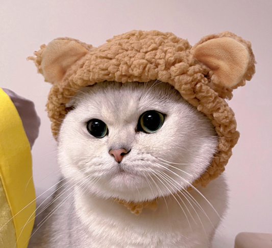 Kitty Hat™